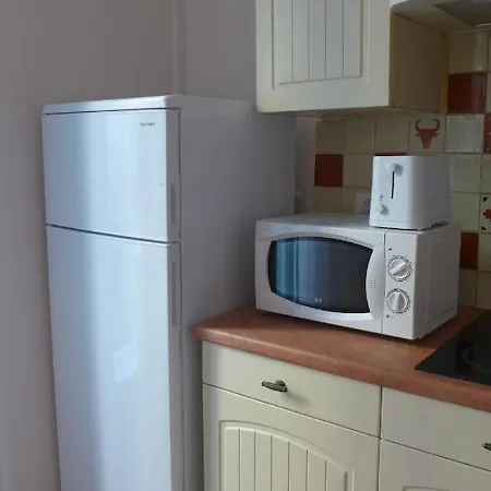 Pyrenean Star Apartament Céret
